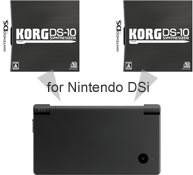 Dual DS-10のイメージ図