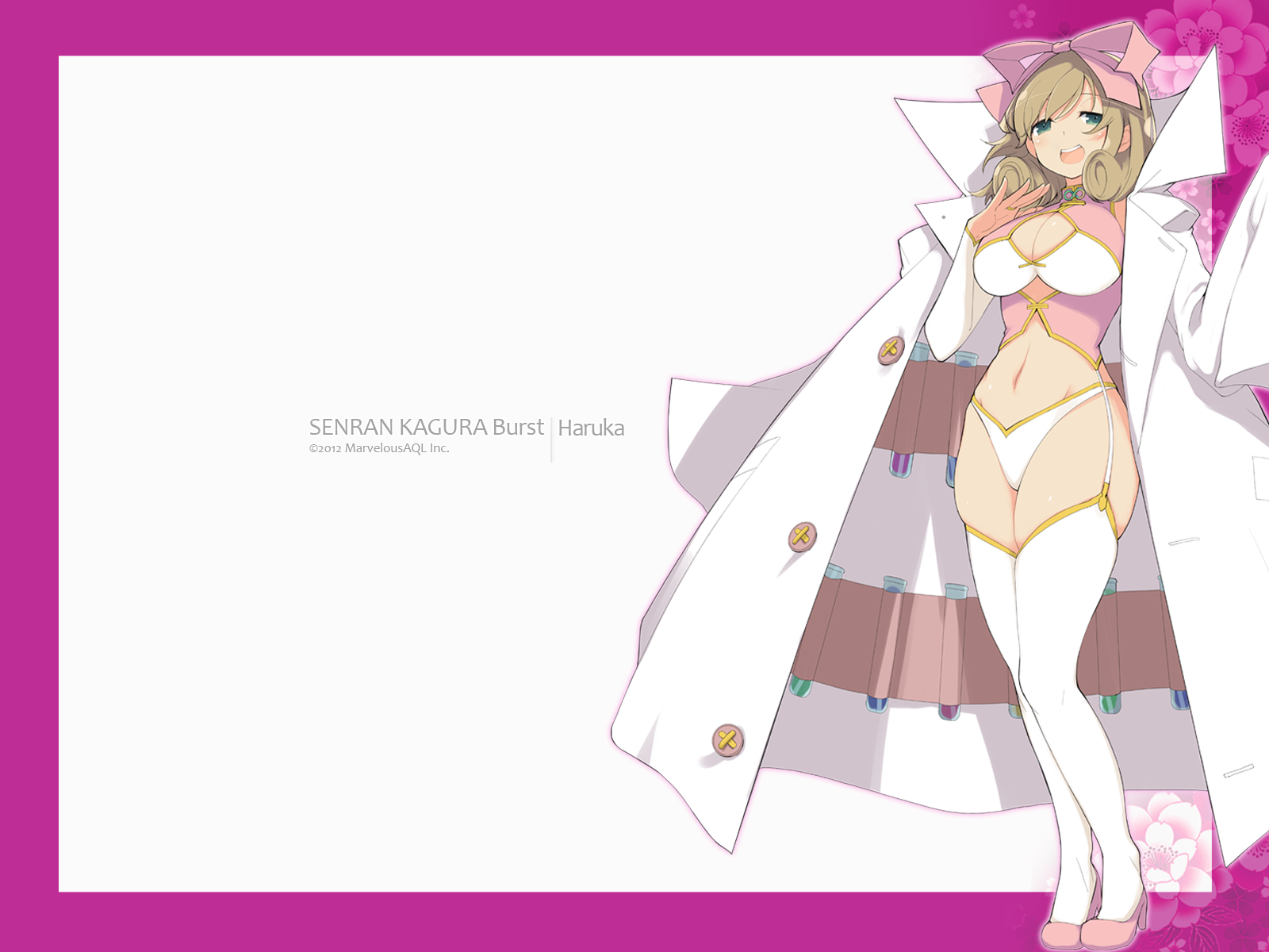 閃乱カグラ Burst 紅蓮の少女達 公式サイト にゅうにゅうキット