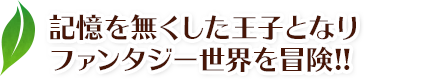 記憶を無くした王子となりファンタジー世界を冒険!!