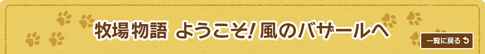 牧場物語 ようこそ!風のバザールへ