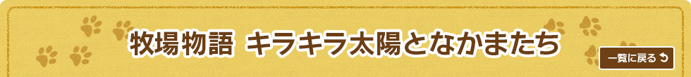 牧場物語 キラキラ太陽となかまたち