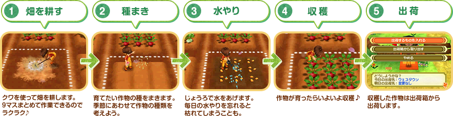 1.畑を耕す 2.種まき 3.水やり 4.収穫 5.出荷