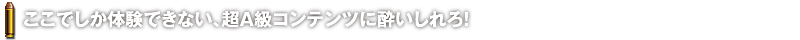 ここでしか体験できない、超A級コンテンツに酔いしれろ!