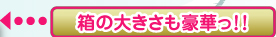 箱の大きさも豪華っ！！ここをクリック！！