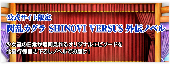公式サイト限定 閃乱カグラ SHINOVI VERSUS 外伝ノベル