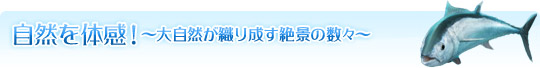 自然を体感！　〜大自然が織り成す絶景の数々〜