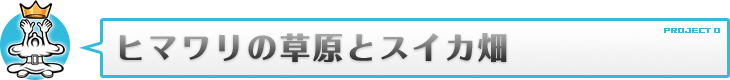 ヒマワリの草原とスイカ畑