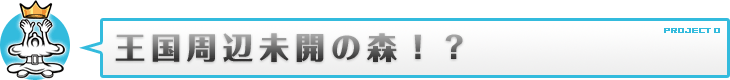 王国周辺未開の森！？