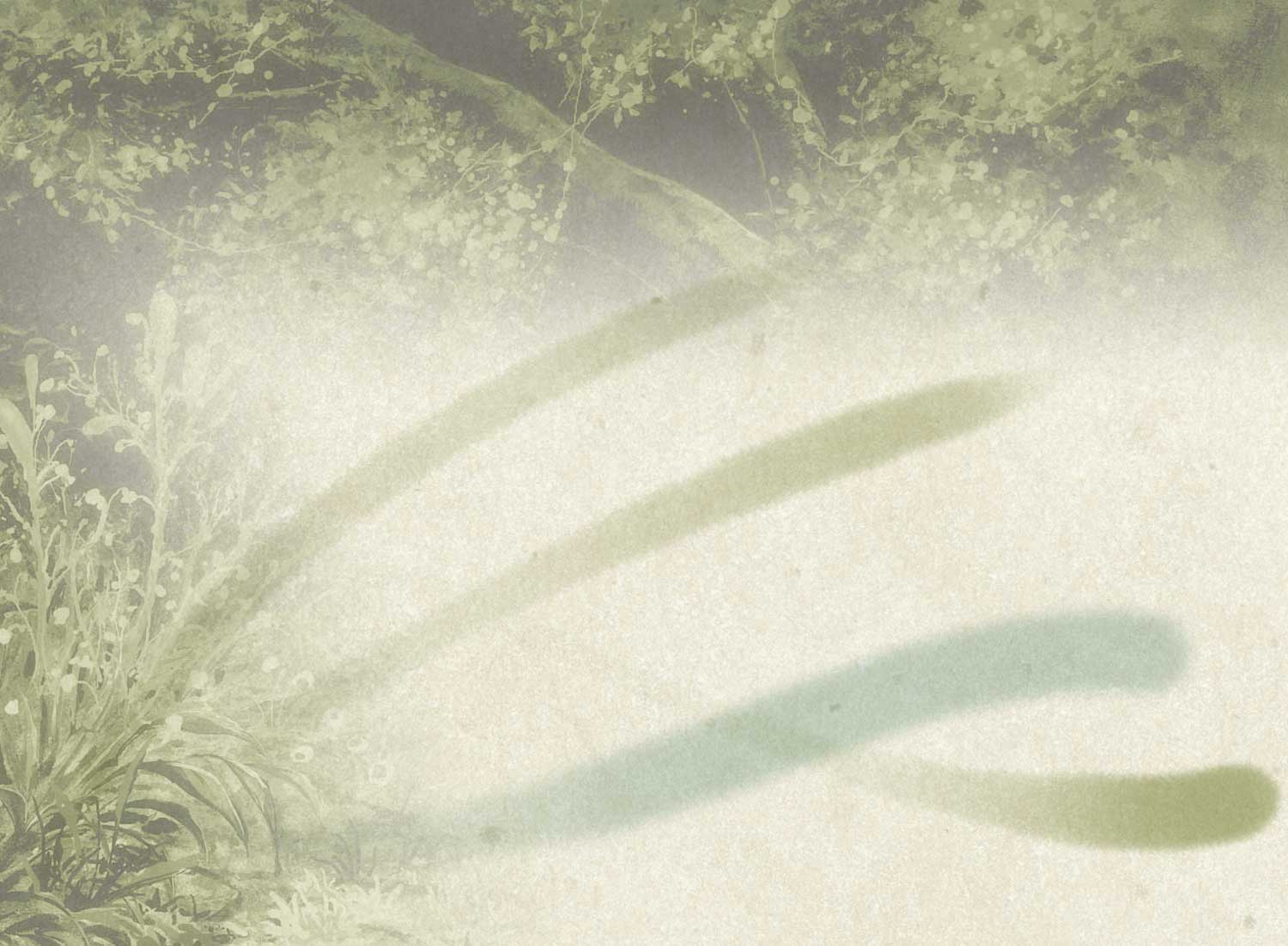 蟲師 二十六譚 Blu-ray BOX