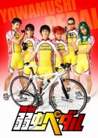 お値下げしました！舞台 弱虫ペダル DVDセット