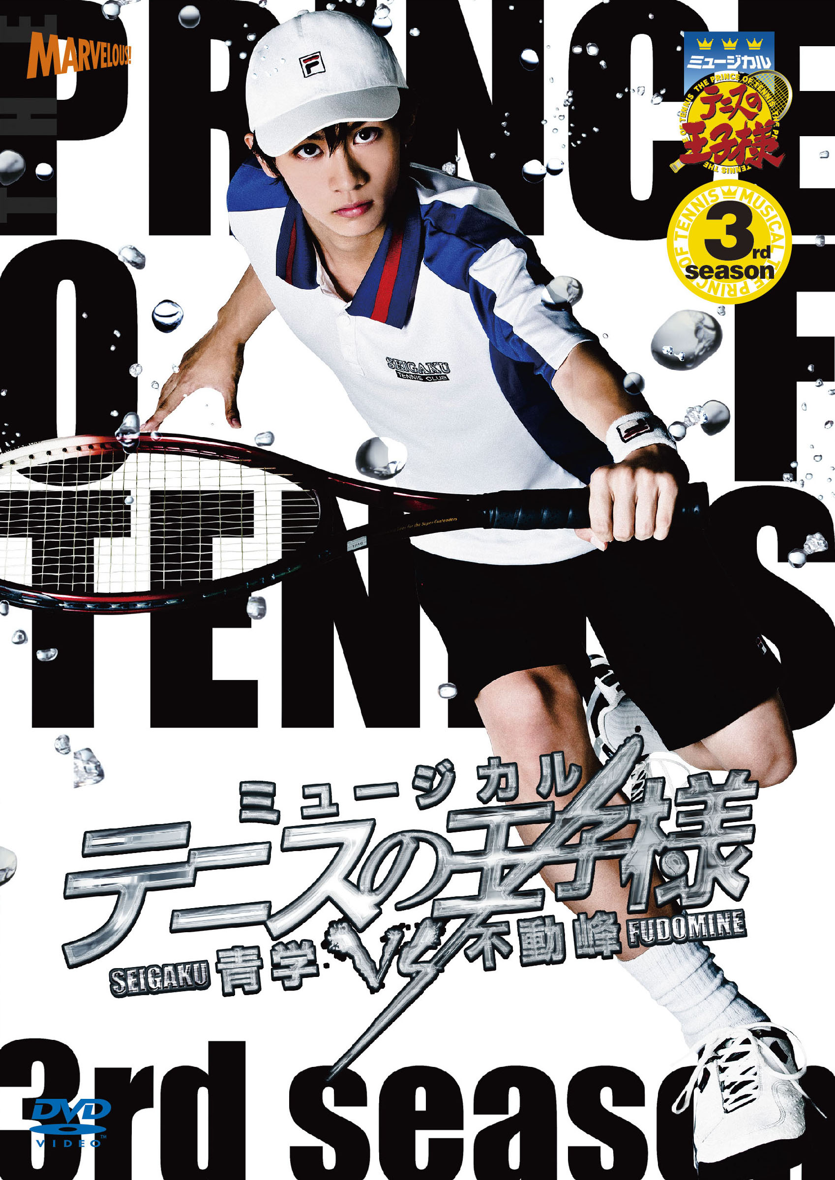 ミュージカル『テニスの王子様』3rdシーズン 青学vs不動峰 DVD 
